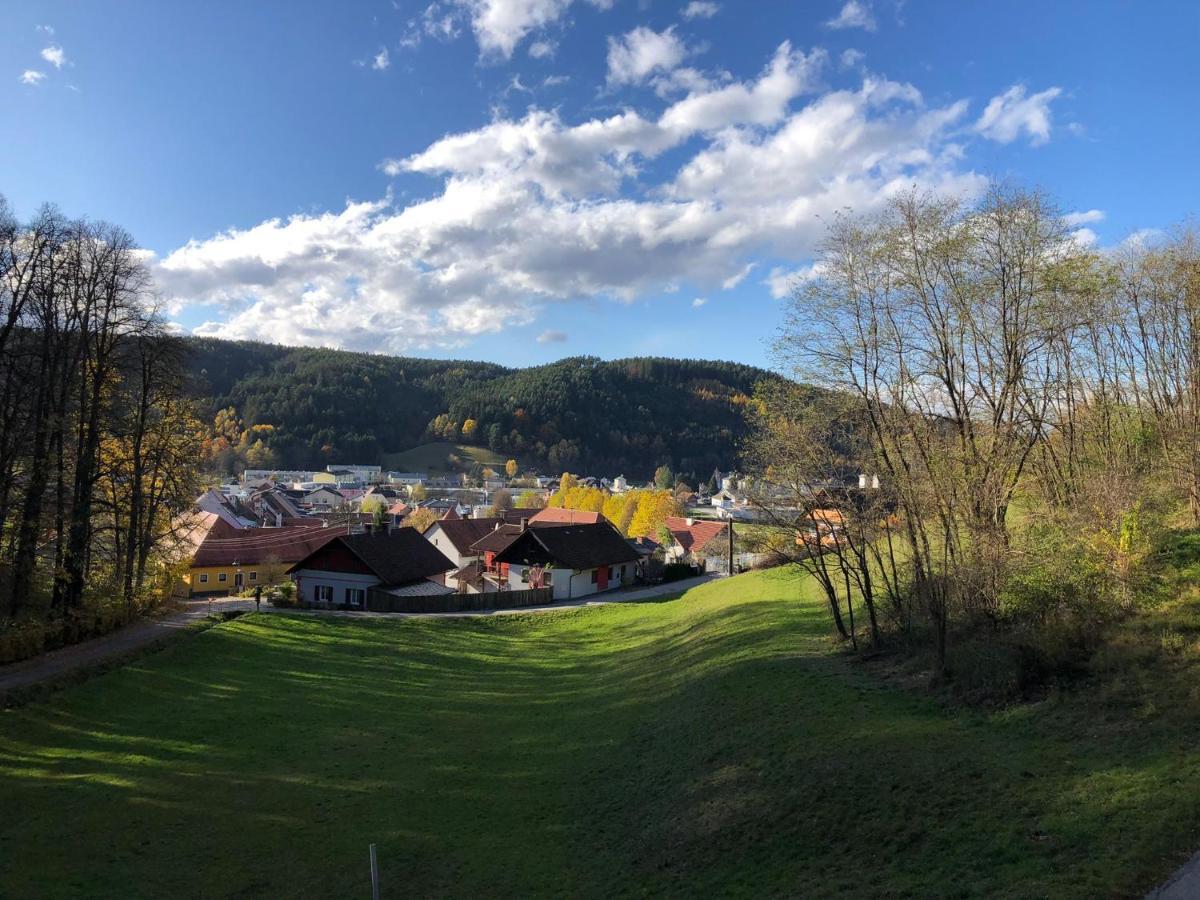 Haus Am Schloss Apartment Bleiburg Bagian luar foto